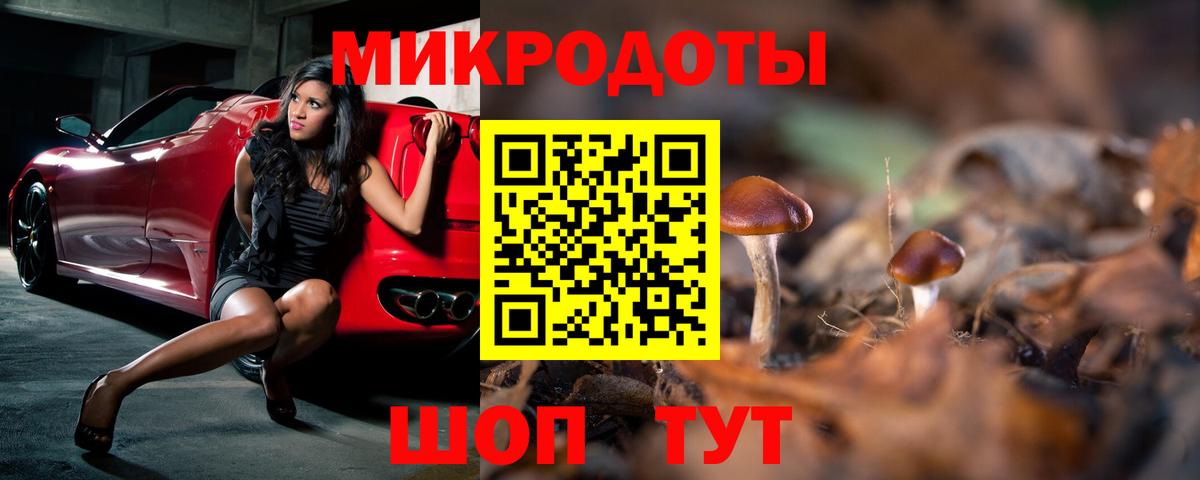 Псилоцибиновые грибы Cubensis  Вход с VPN  Карпинск 